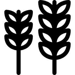 Веточки пшеницы иконка