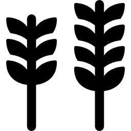 dwa kolce pszenicy ikona