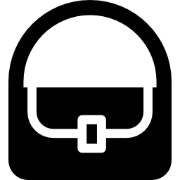 Bag with Lock icon