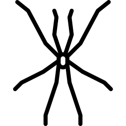Opiliones icon