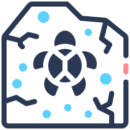 Turtle icon