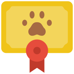 Certificate icon