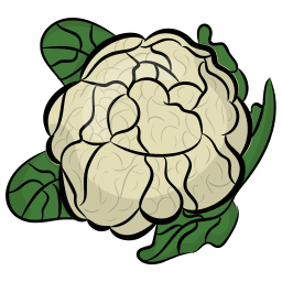 blumenkohl icon