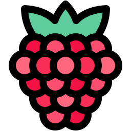 Raspberry icon