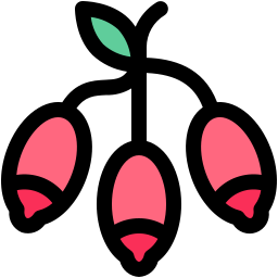 Dog rose icon