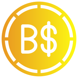 dolar brunejski ikona