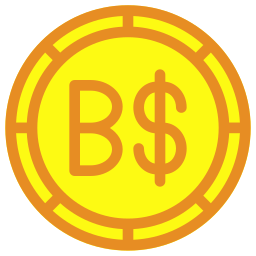 dólar bruneano icono