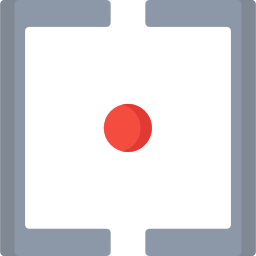Center focus icon
