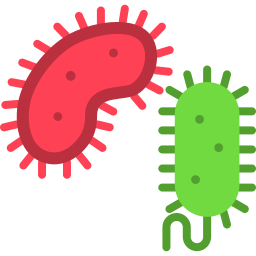 bacteria icono