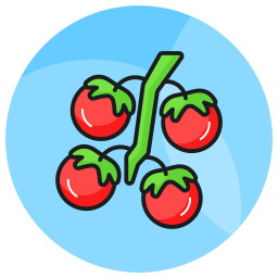 pomodori icona