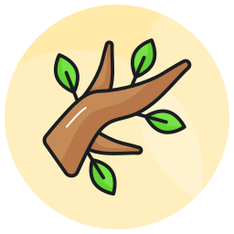 Branch icon