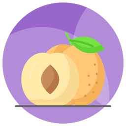 abrikoos icoon