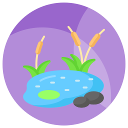 Pond icon