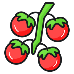 pomidor ikona