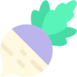 Turnip icon