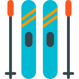 skii icono