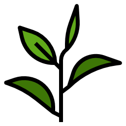 grüner tee icon