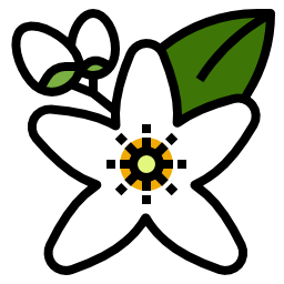 neroli icono