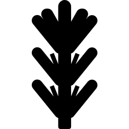 ローズマリー icon
