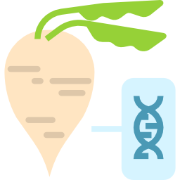 beterraba sacarina Ícone