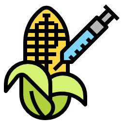 Corn icon