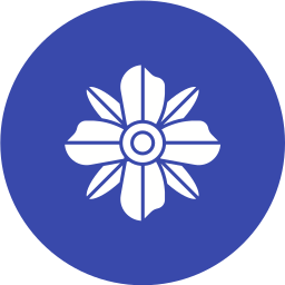 Бораго иконка