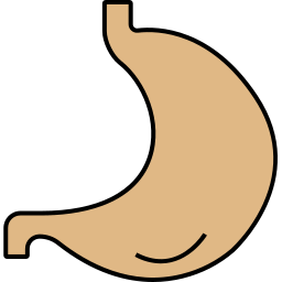 stomaco icona