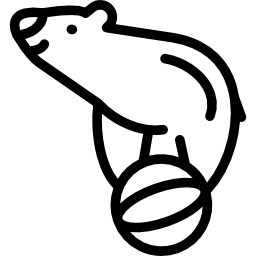 サーカスのクマ icon