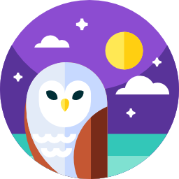 Owl icon