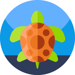 Turtle icon