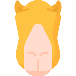 wielbłąd ikona
