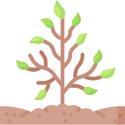 어린 나무 icon
