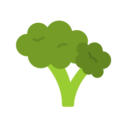 Broccoli icon