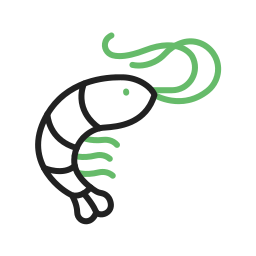 Shrimp icon