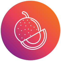 cantaloup-melone icon