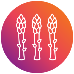 Asparagus icon