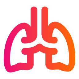 Lung icon