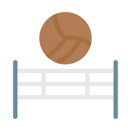 Volleyball net icon