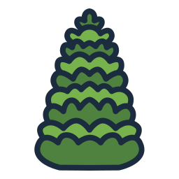 발삼 전나무 icon