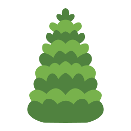 Balsam fir icon