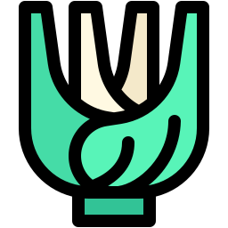 Fennel icon