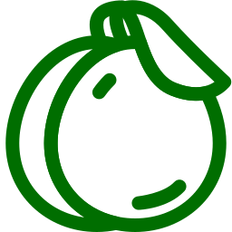 구아바 icon