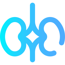 Kidney icon