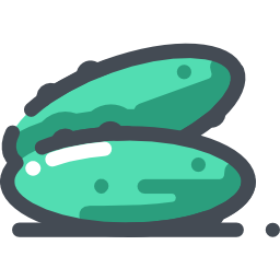 Cucumber icon