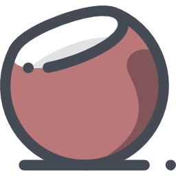 Coconut icon