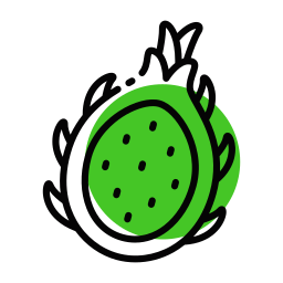 Dragon fruit icon