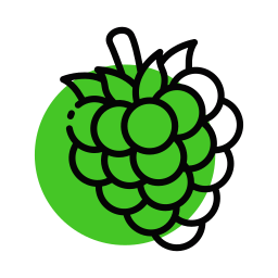 Raspberry icon