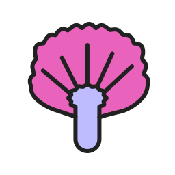 ニラの花 icon