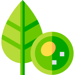 植物細胞 icon