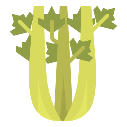 Celery icon